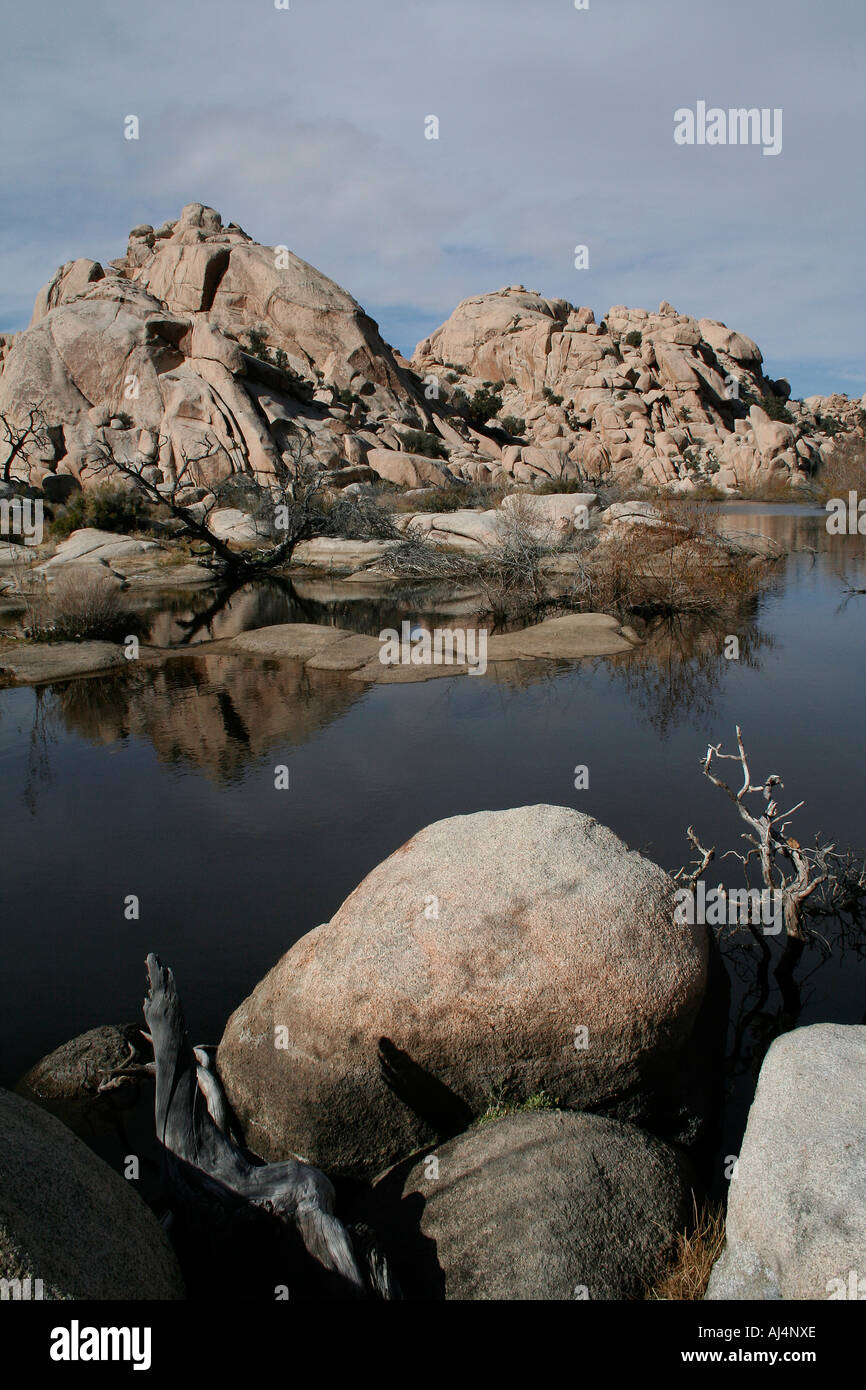 Mountains reflected in an utterly still lake, Joshua Tree National Park, California, USA Stock Photo