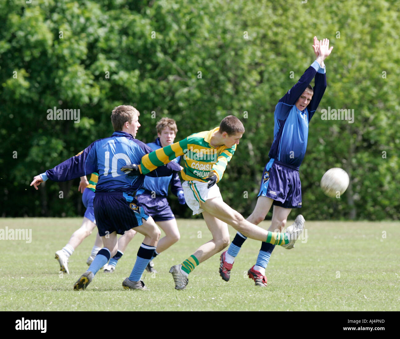 action from schoolboy gaelic football player kicking the ball surrounded by opposing players including one diving for the ball Stock Photo