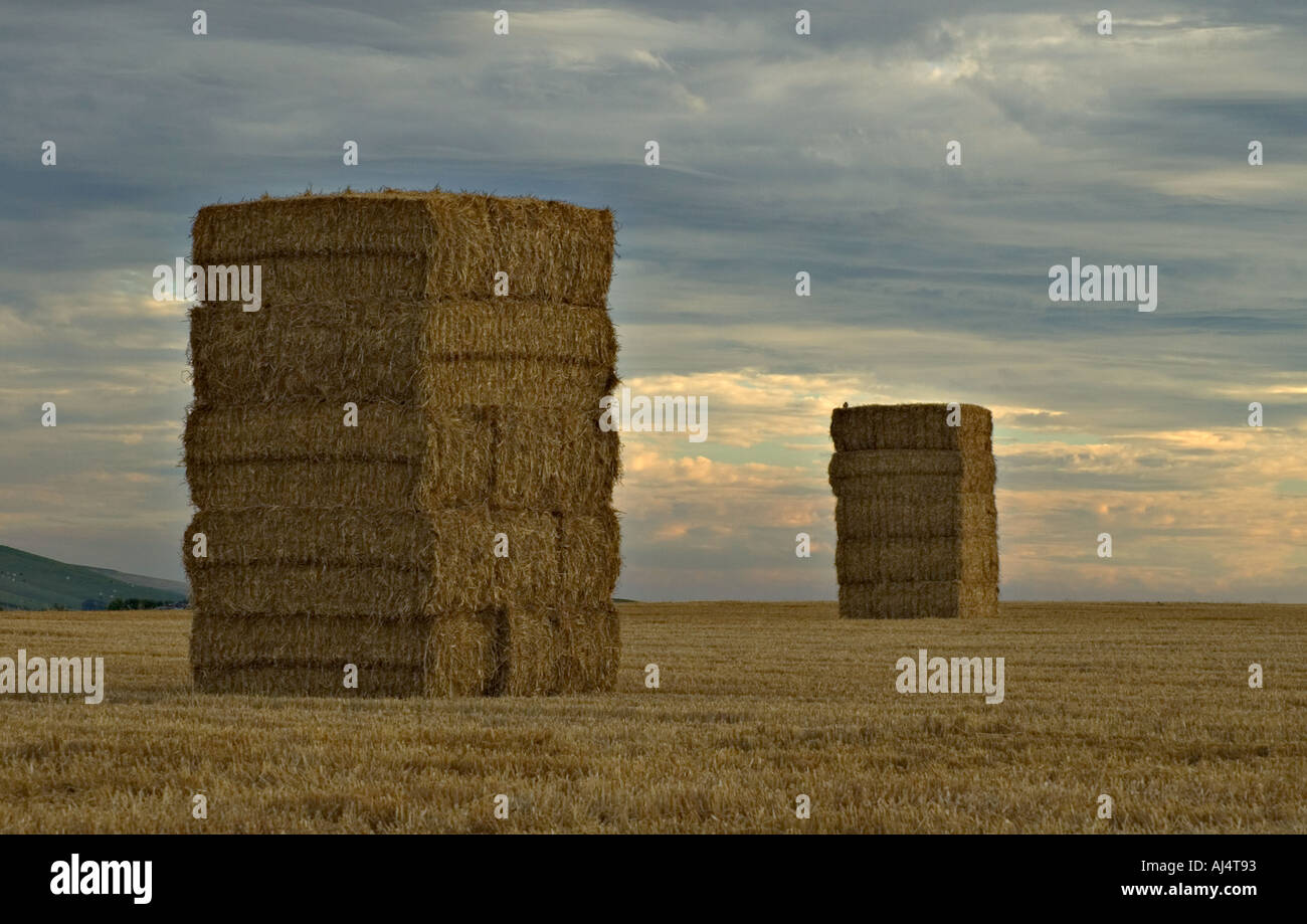 Two large hay stacks hi-res stock photography and images - Alamy