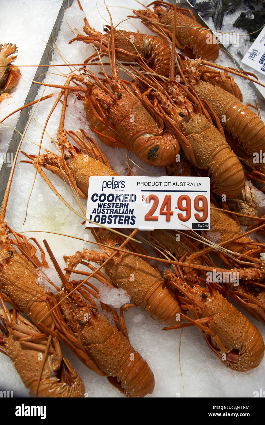 Lobster seafood on sale in Fish Market shop Sydney New South Wales NSW