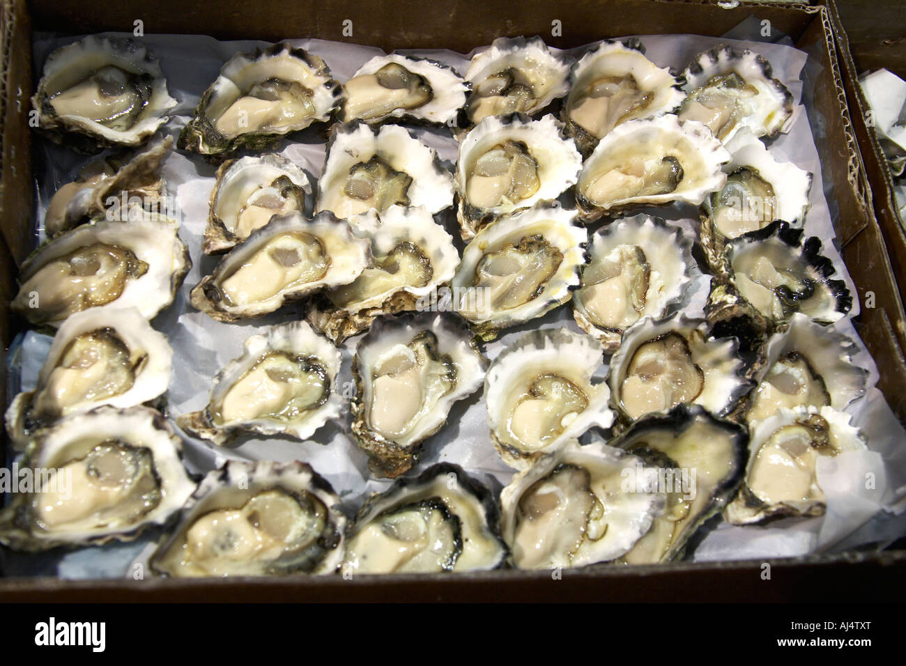 Rock oysters seafood on sale in Fish Market shop Sydney New South Wales