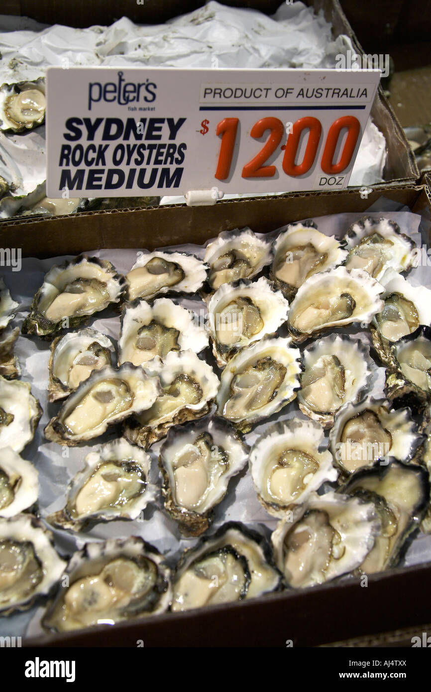 Rock oysters seafood on sale in Fish Market shop Sydney New South Wales