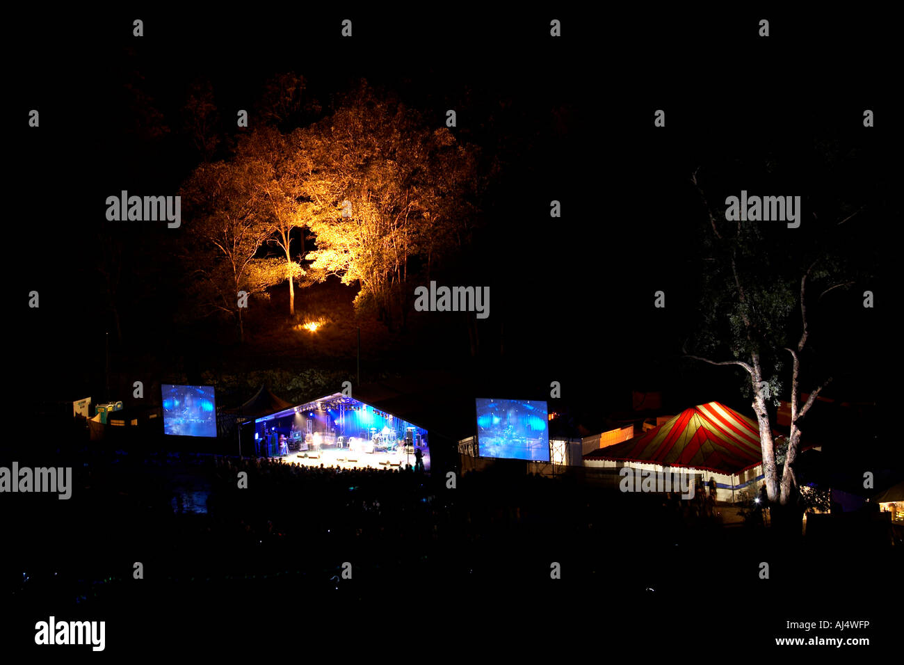Trees around stage night lit by coloured lights by Walter Holt and Treeluminati lighting at Woodford Folk Festival Queensland Stock Photo