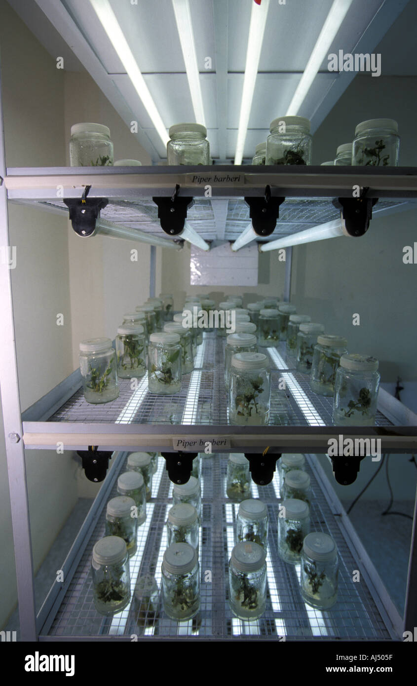 Gm biotech lab Madras Chennai India Stock Photo Alamy