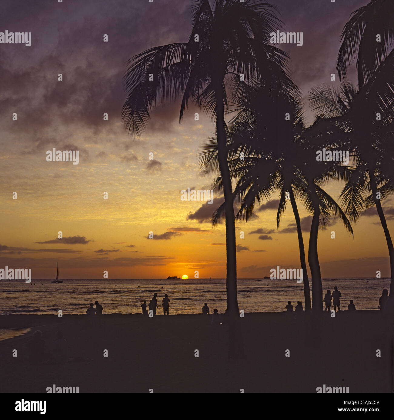 View west of the sunset between tall palm trees with people silhouetted ...
