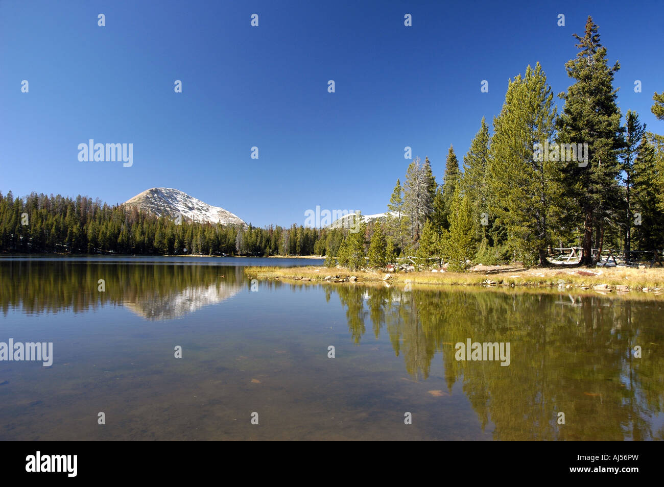 Mt Watson and Teapot Lake Uinta Mountains Utah Stock Photo Alamy