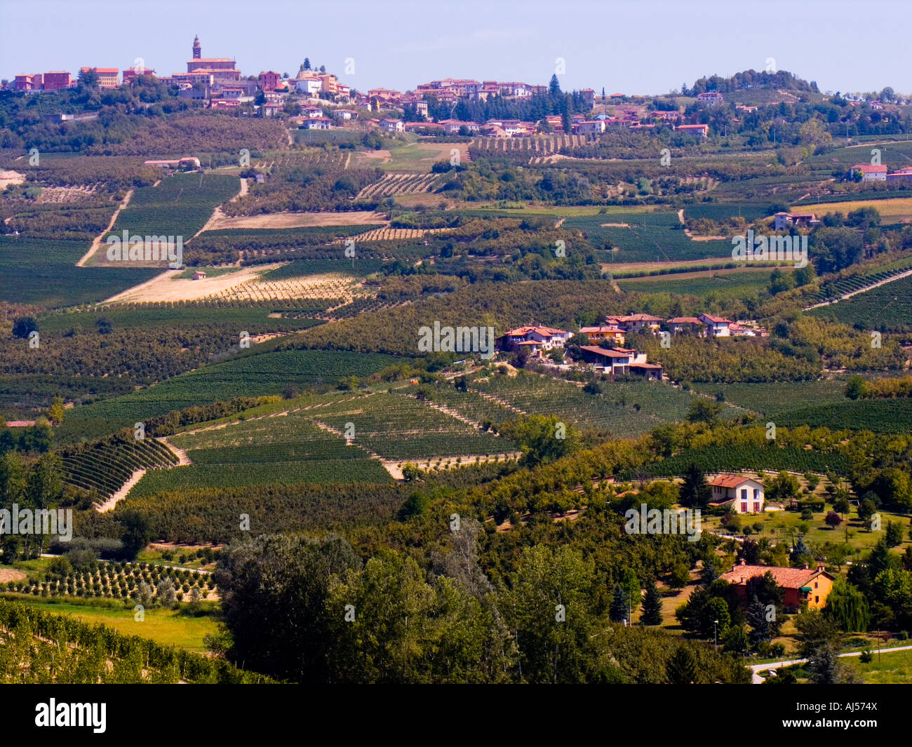 Barolo vineyards, Piemonte Piedmont, Italy Stock Photo
