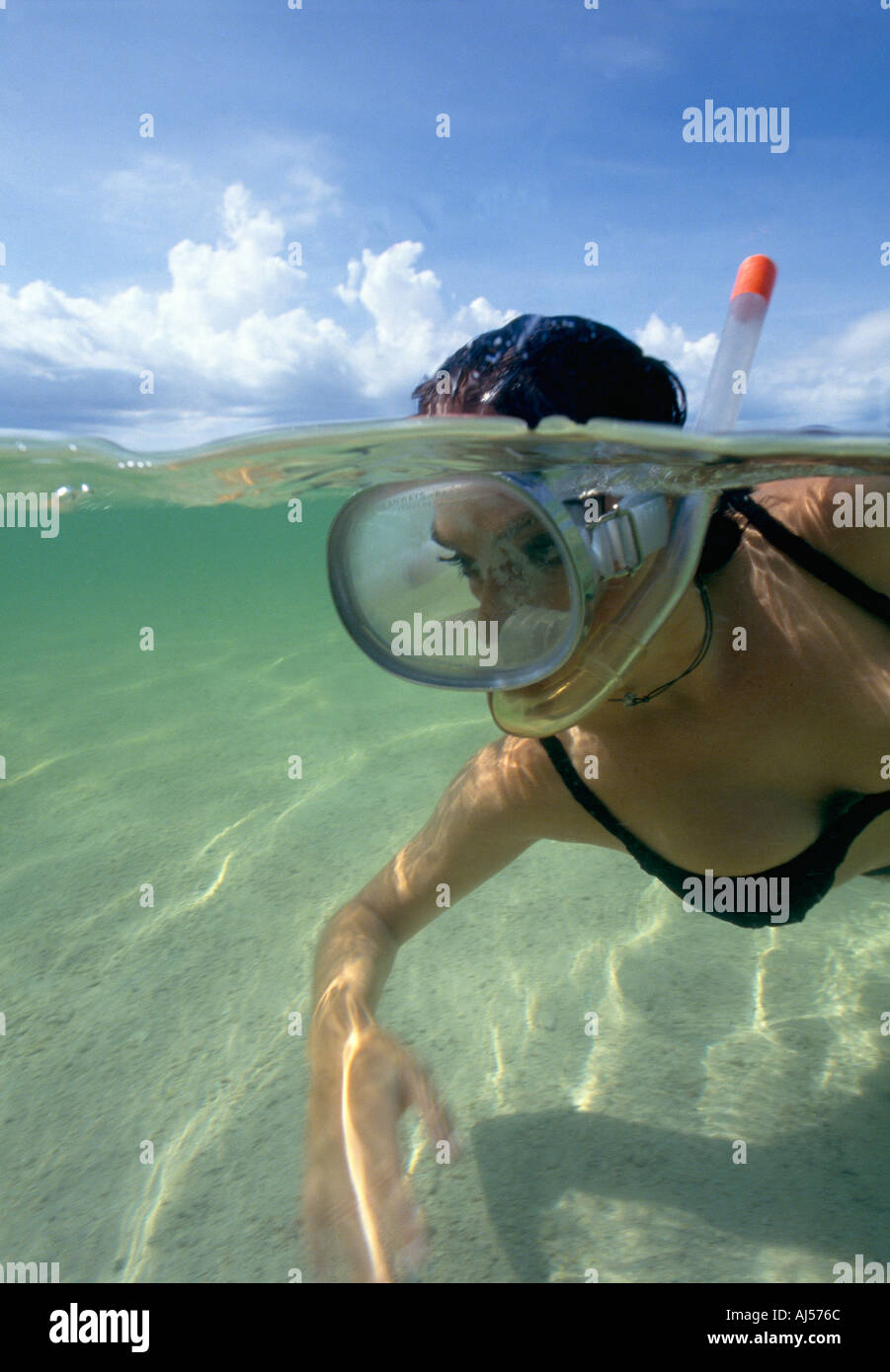 Florida keys snorkeling hires stock photography and images Alamy