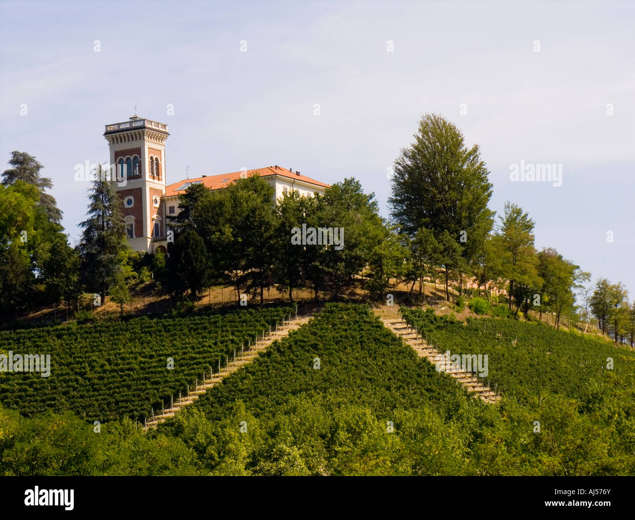 Barolo vineyards, Piemonte Piedmont, Italy Stock Photo