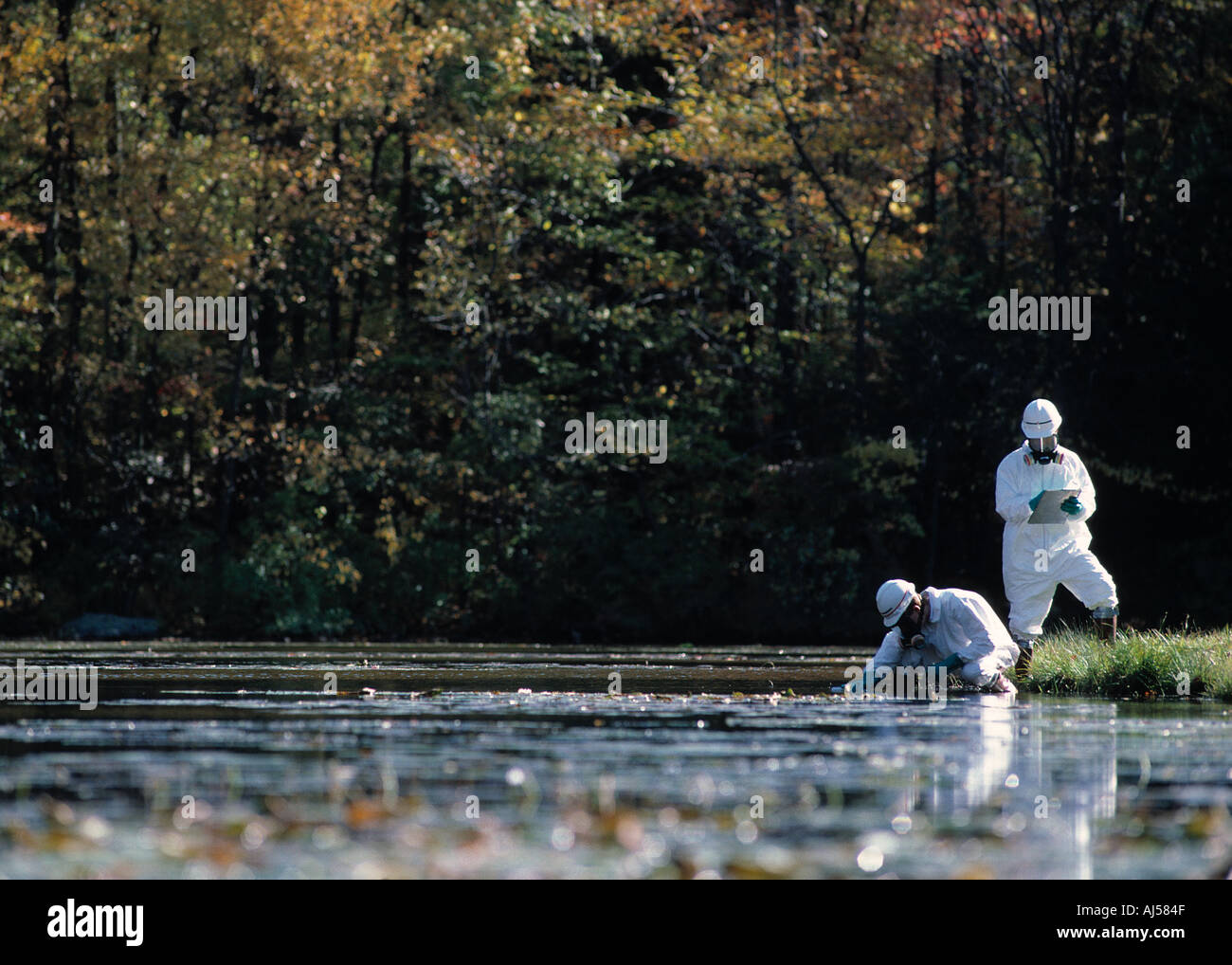 Environmental workers testing pond for hazardous waste Stock Photo Alamy