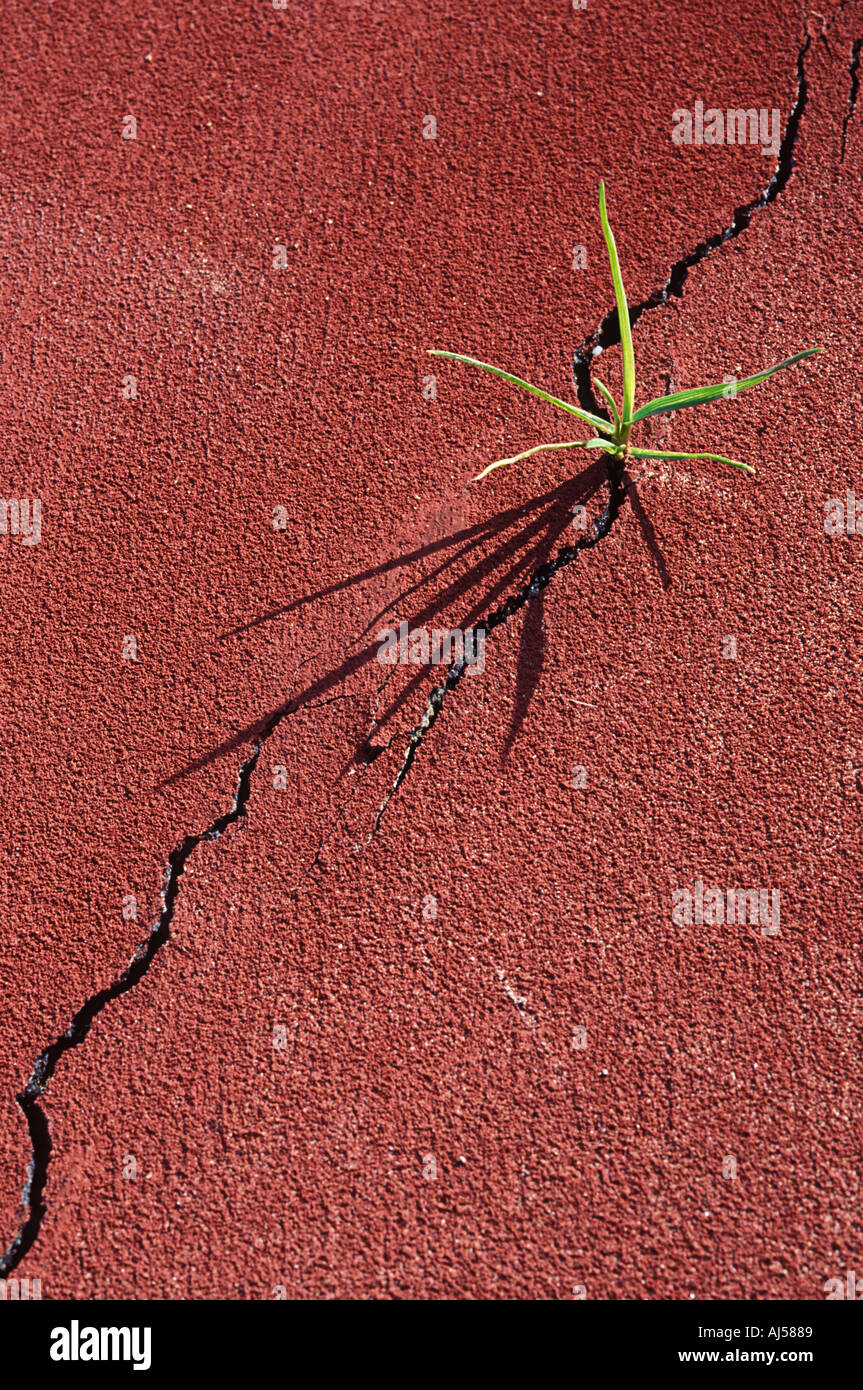 Through a crack hi-res stock photography and images - Alamy