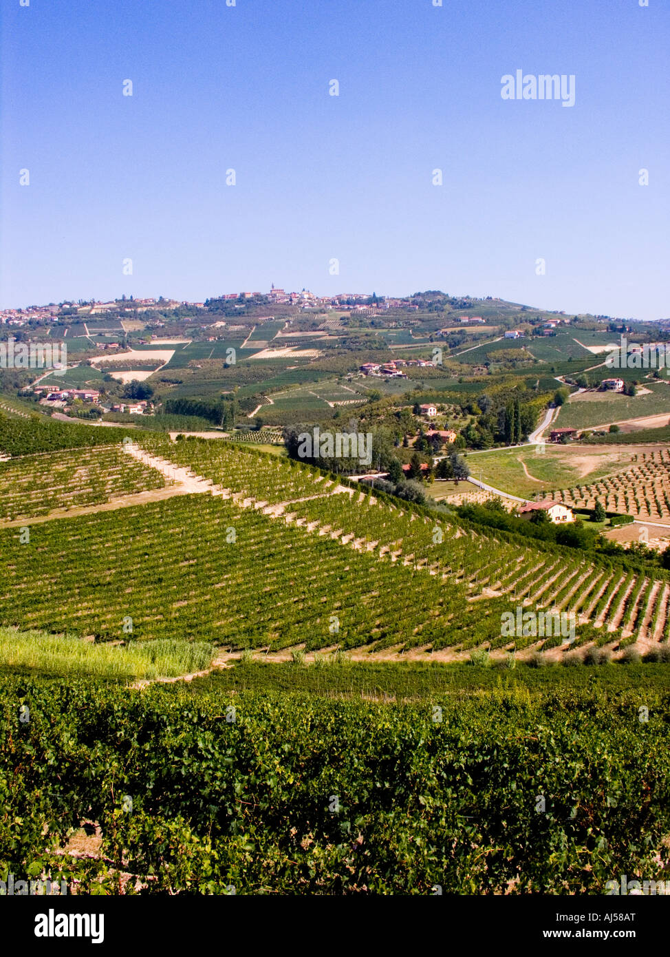 Barolo vineyards, Piemonte Piedmont, Italy Stock Photo