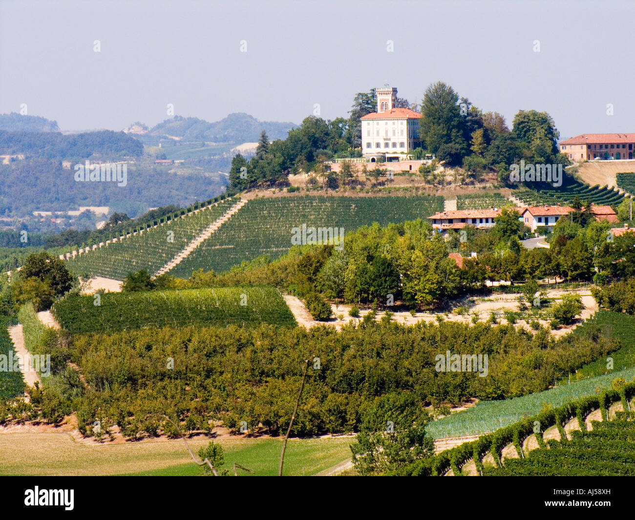 Barolo vineyards, Piemonte Piedmont, Italy Stock Photo