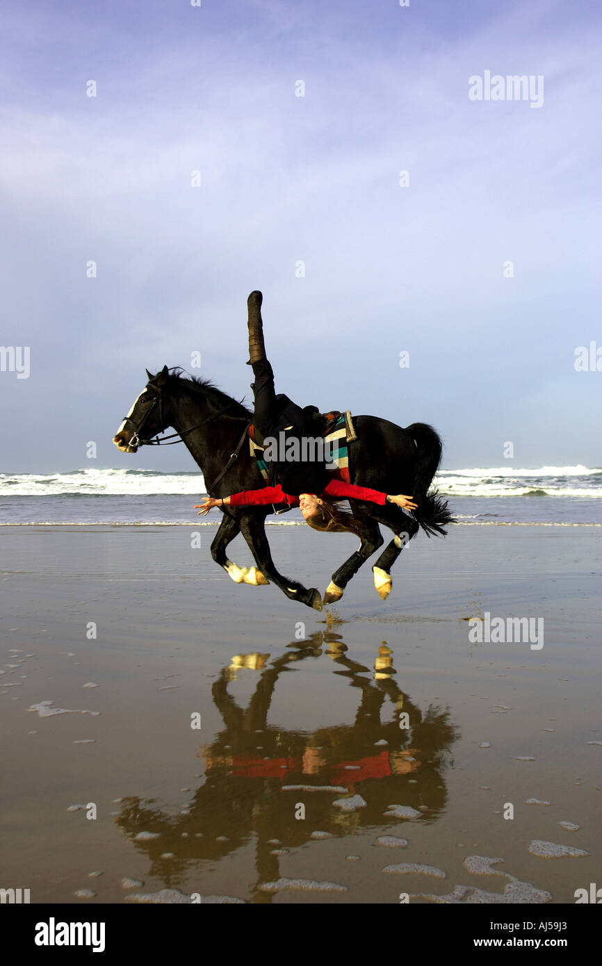 Horsewomen riding horse upside down through sea with reflection in water Stock Photo Alamy