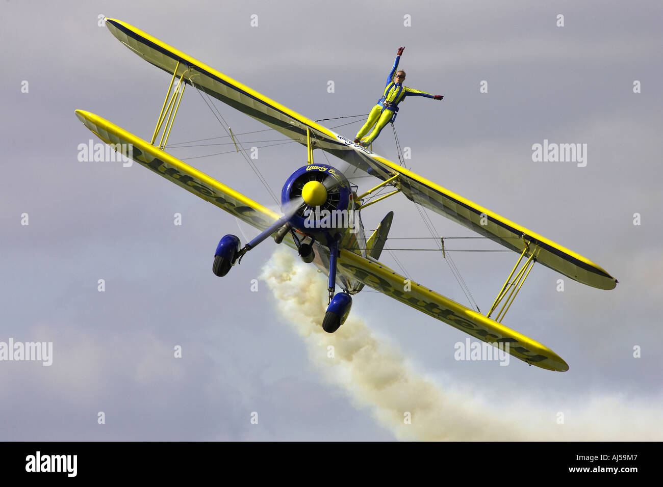 wing walker in full flight Stock Photo Alamy