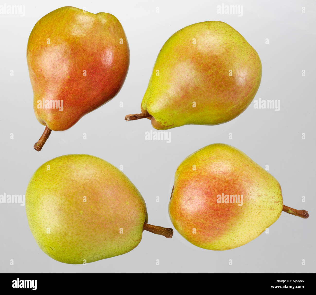 PEARS Stock Photo