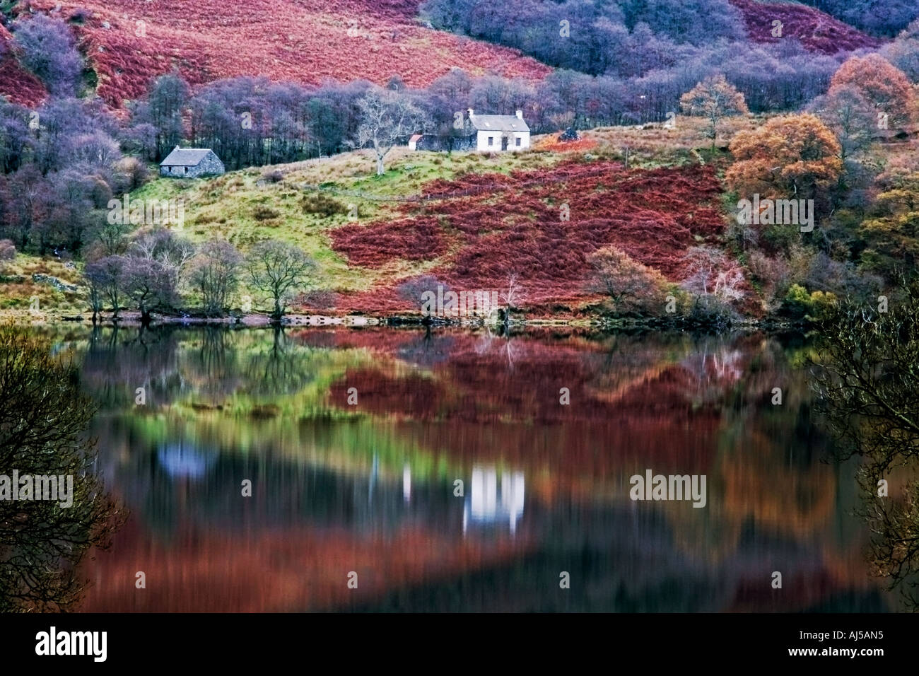 Loch Lomond Farm Cottage Near Ardlui Loch Lomond And Trossachs