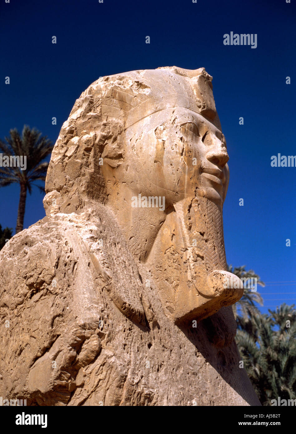 Sphinx by Memphis, Egypt Stock Photo