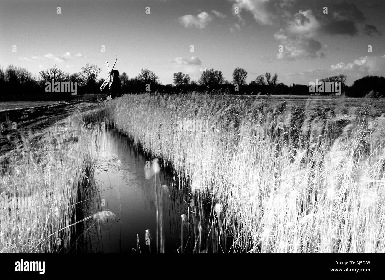 wicken fen norfolk england uk Stock Photo