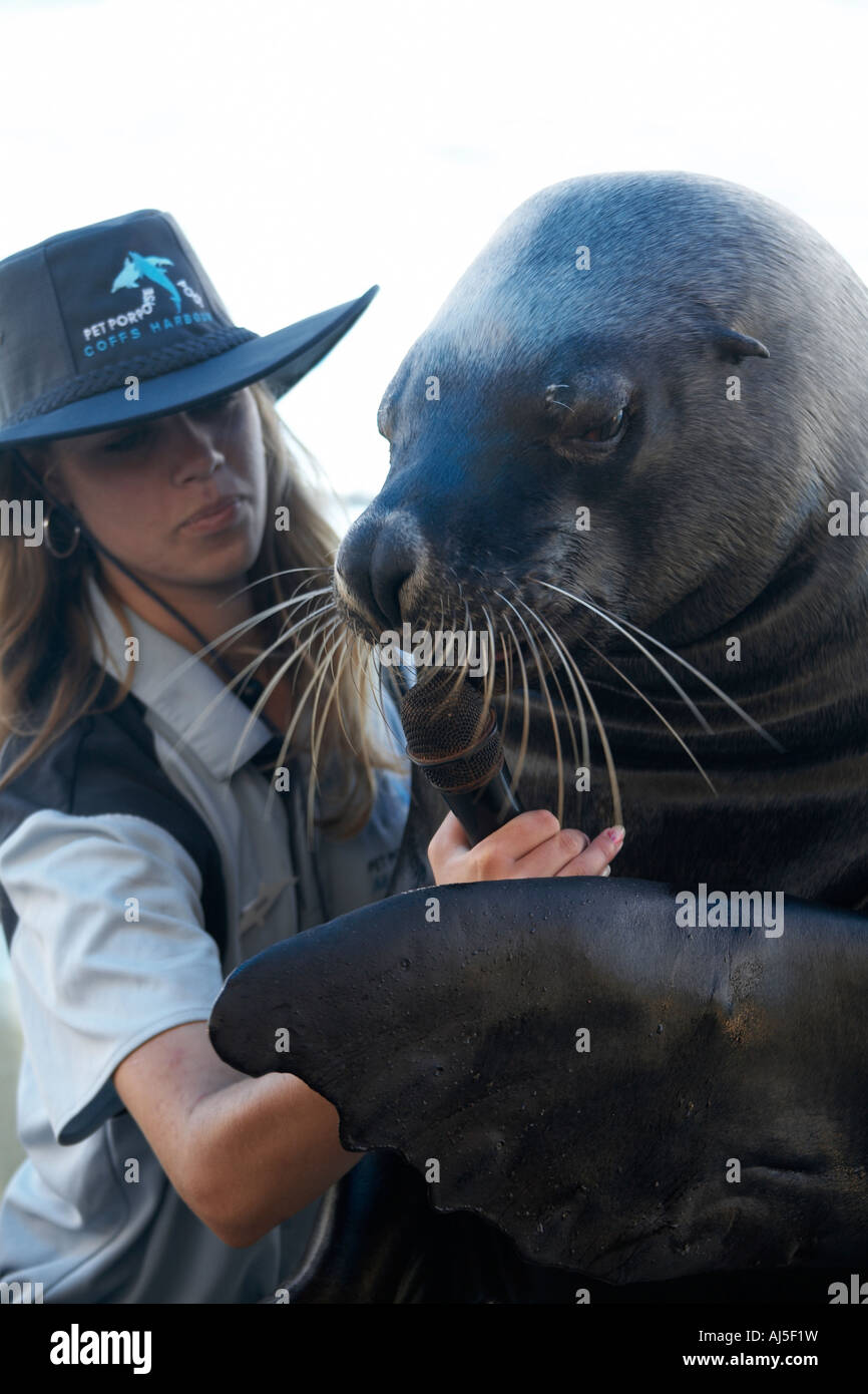 Seal performing for visitors with microphone at Pet Porpoise Pool