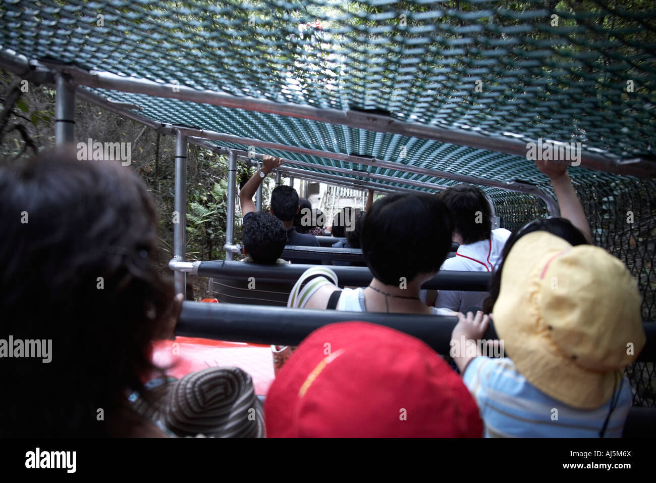 Passengers on steep descent down funicular quarry railway to forest floor in Scenic World Katoomba Blue Mountains New South Wal Stock Photo