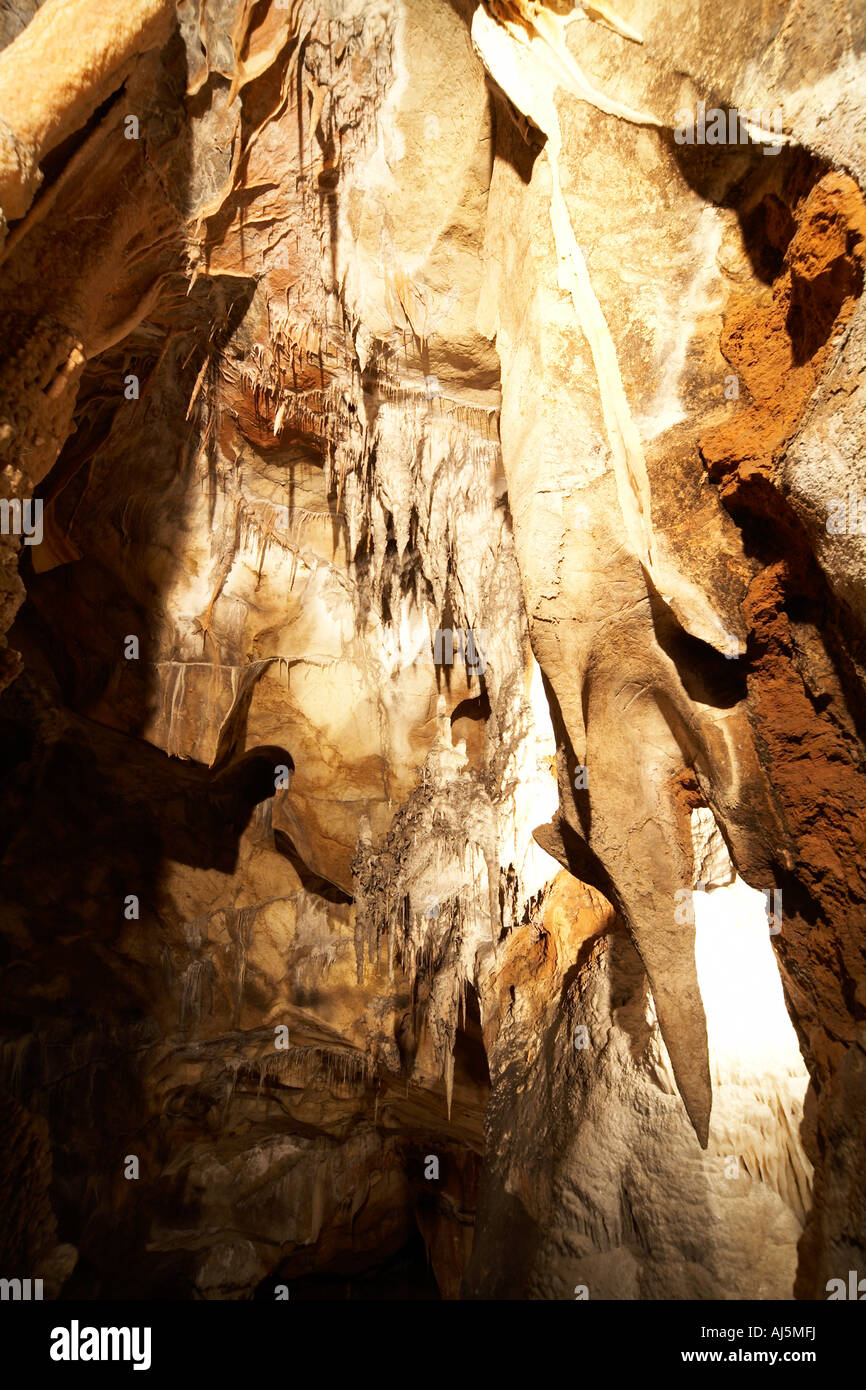 Stalagtite curtains in roof of Chifley Cave at Jenolan Caves in Blue