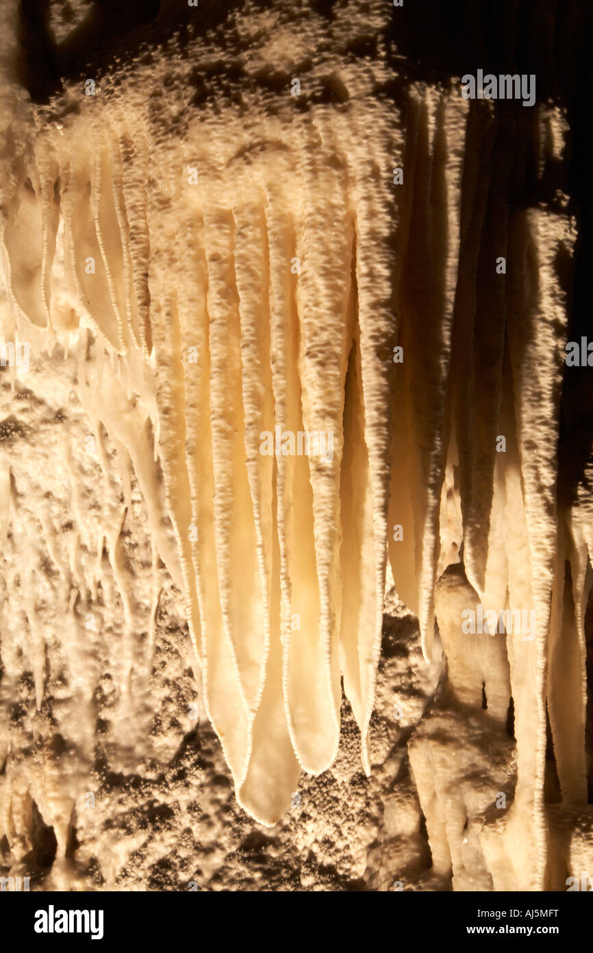 Stalagtite curtains in roof of Chifley Cave at Jenolan Caves in Blue
