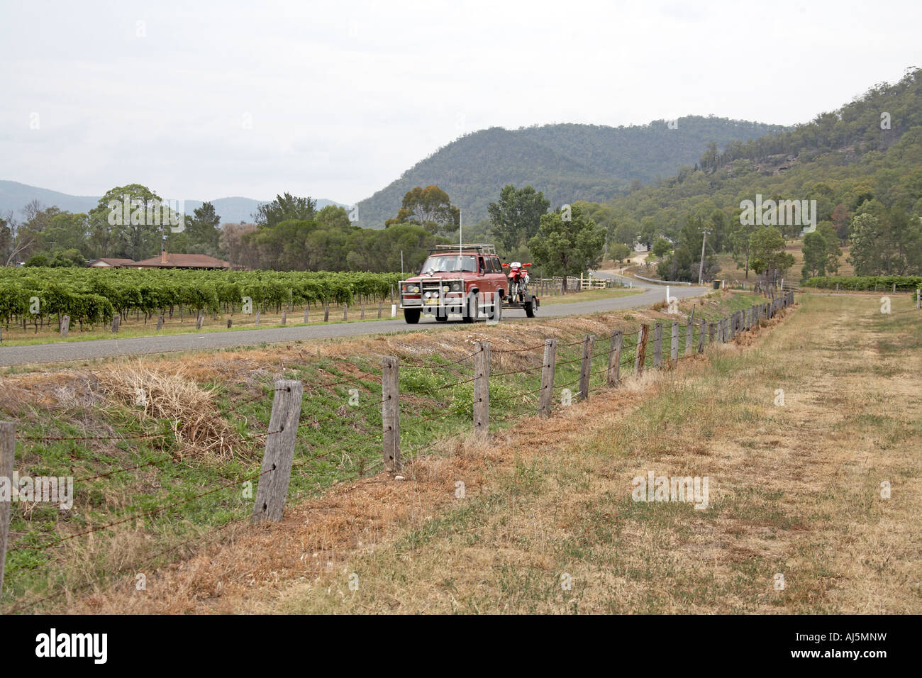 Ute or Utility pick up truck vehicle on road near Fordwich in Hunter Valley wine growing area of New South Wales NSW Australia Stock Photo