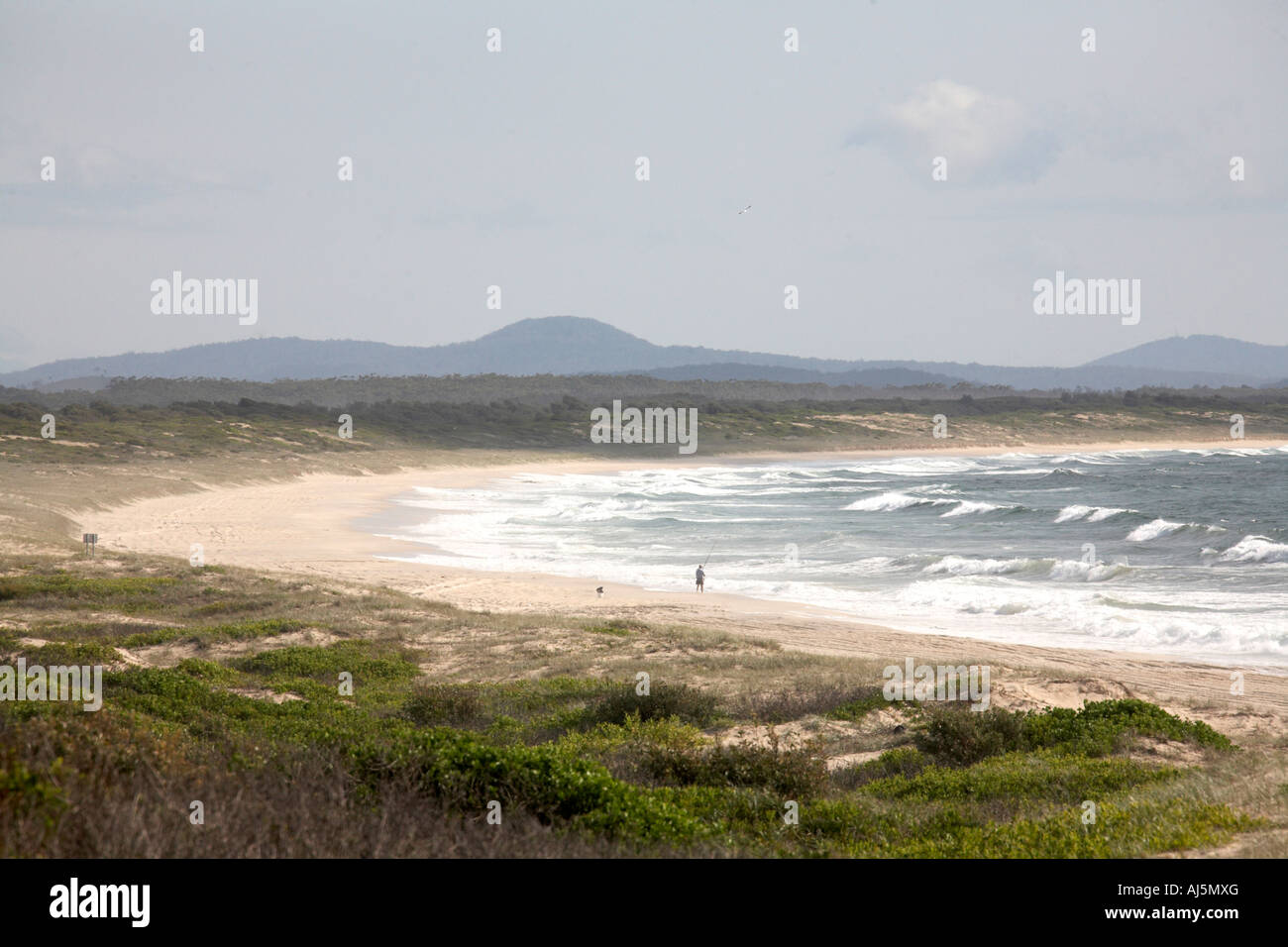 People walking on the sandy Bennetts Beach by the sea near Hawks Nest in New South Wales NSW Australia Stock Photo