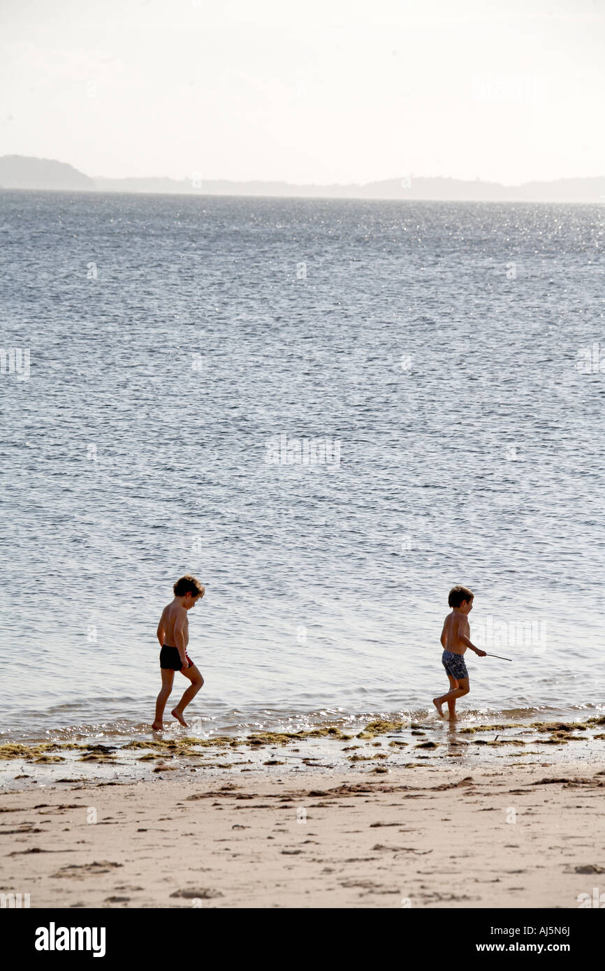 Two young boys children brothers playing by water on Jimmy s Beach Hawks Nest Port Stephens New South Wales NSW Australia Stock Photo