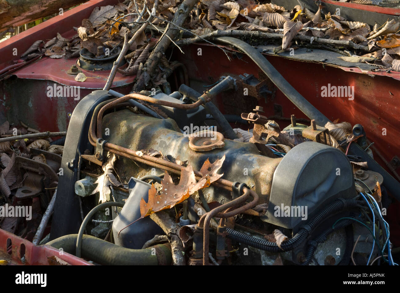 Engine detail of a junk car in woods Stock Photo Alamy