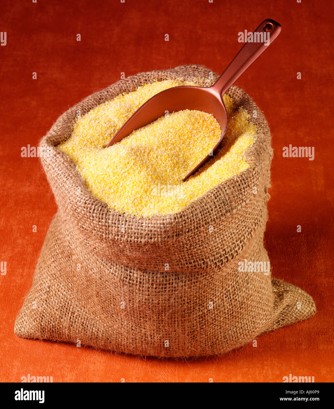 Yellow Corn Grain In A Burlap Bag With An Aluminum Scoop On A White  Background Banco de Imagens Royalty Free, Ilustrações, Imagens e Banco de  Imagens. Image 15109800.