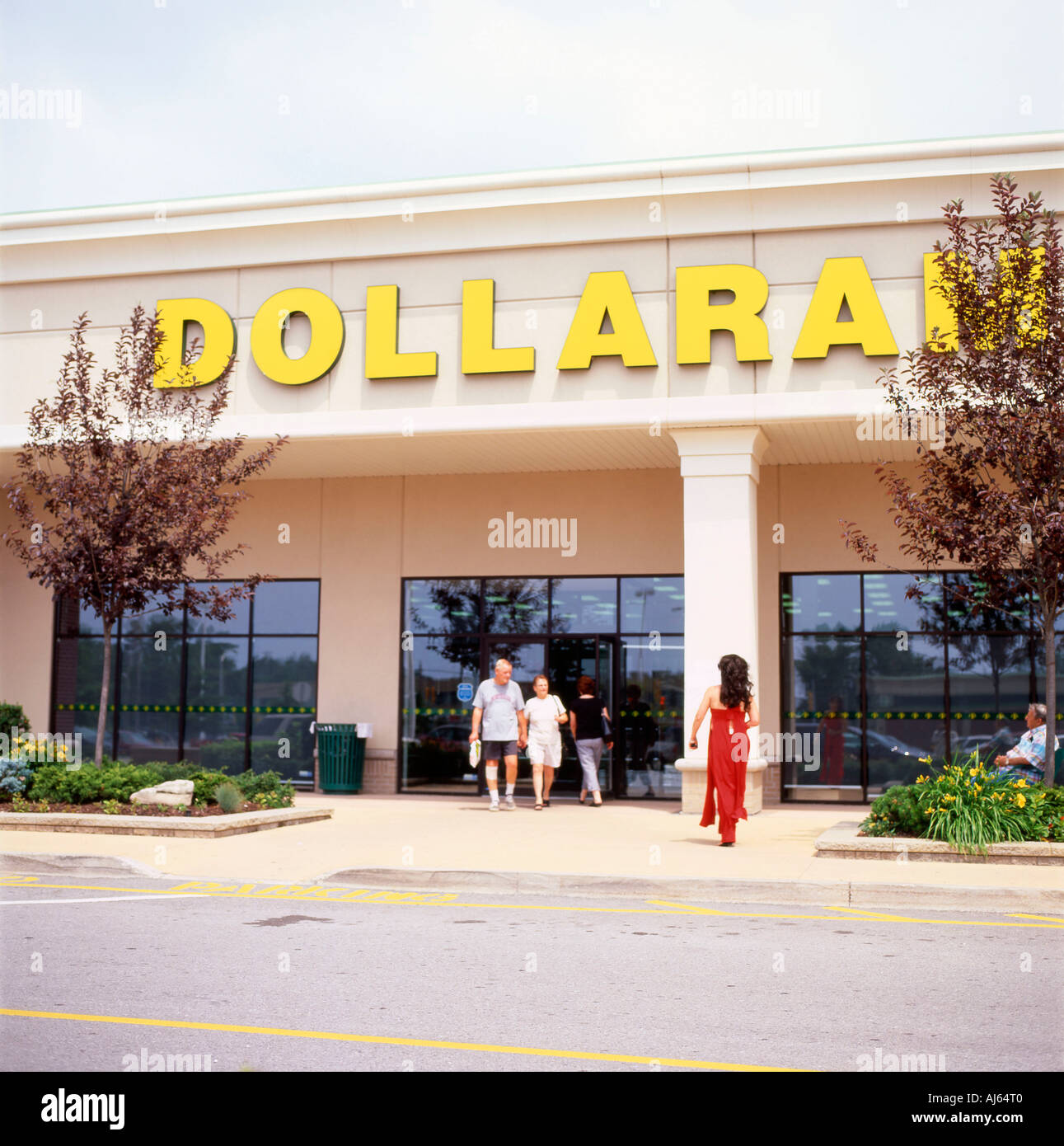 United States dollar visual data 8