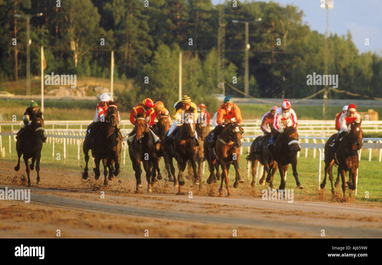 Horses running at Taby racetrack near Stockholm, Sweden Stock Photo