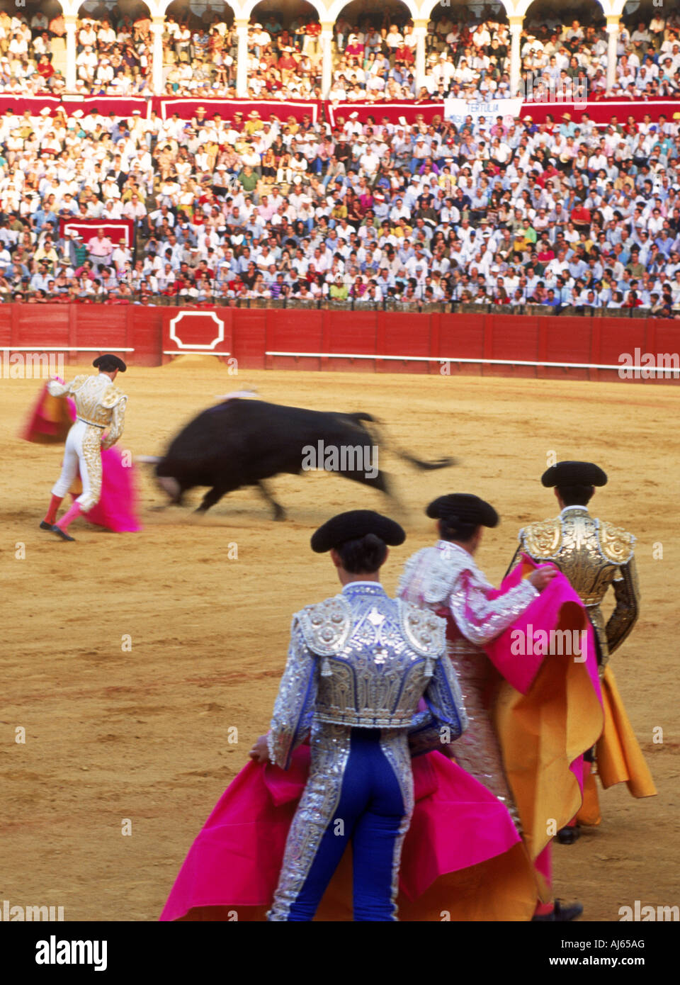 Toreadors with bull at Maestranza Bullring in Seville (Sevilla), Spain Stock Photo