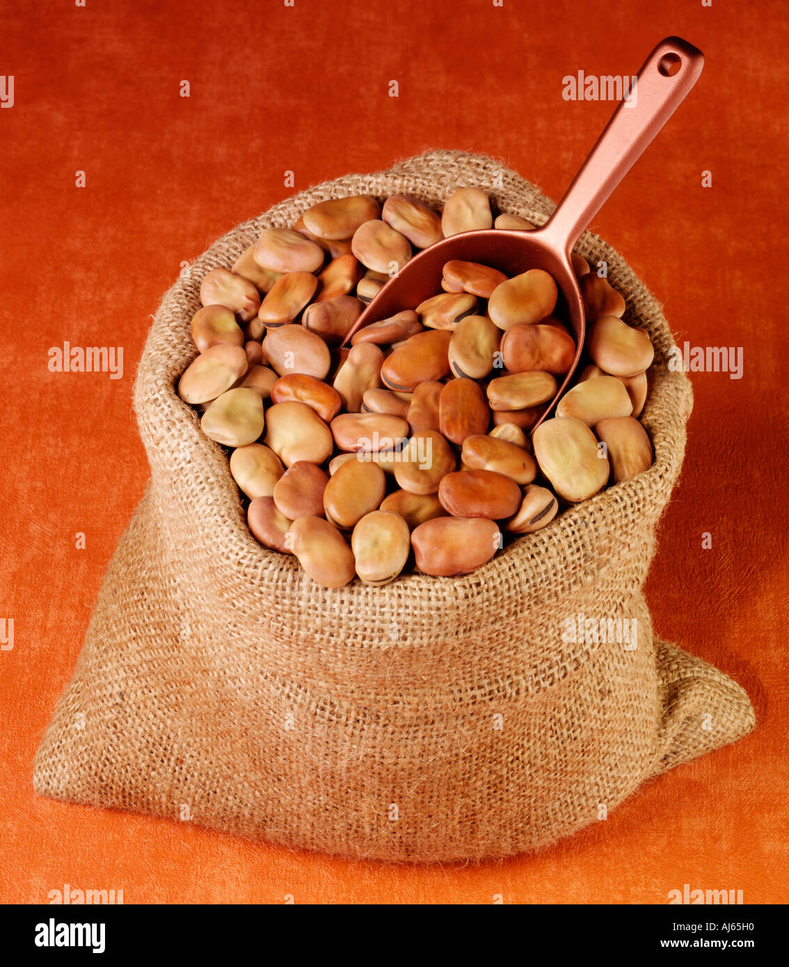 Windsor beans hires stock photography and images Alamy