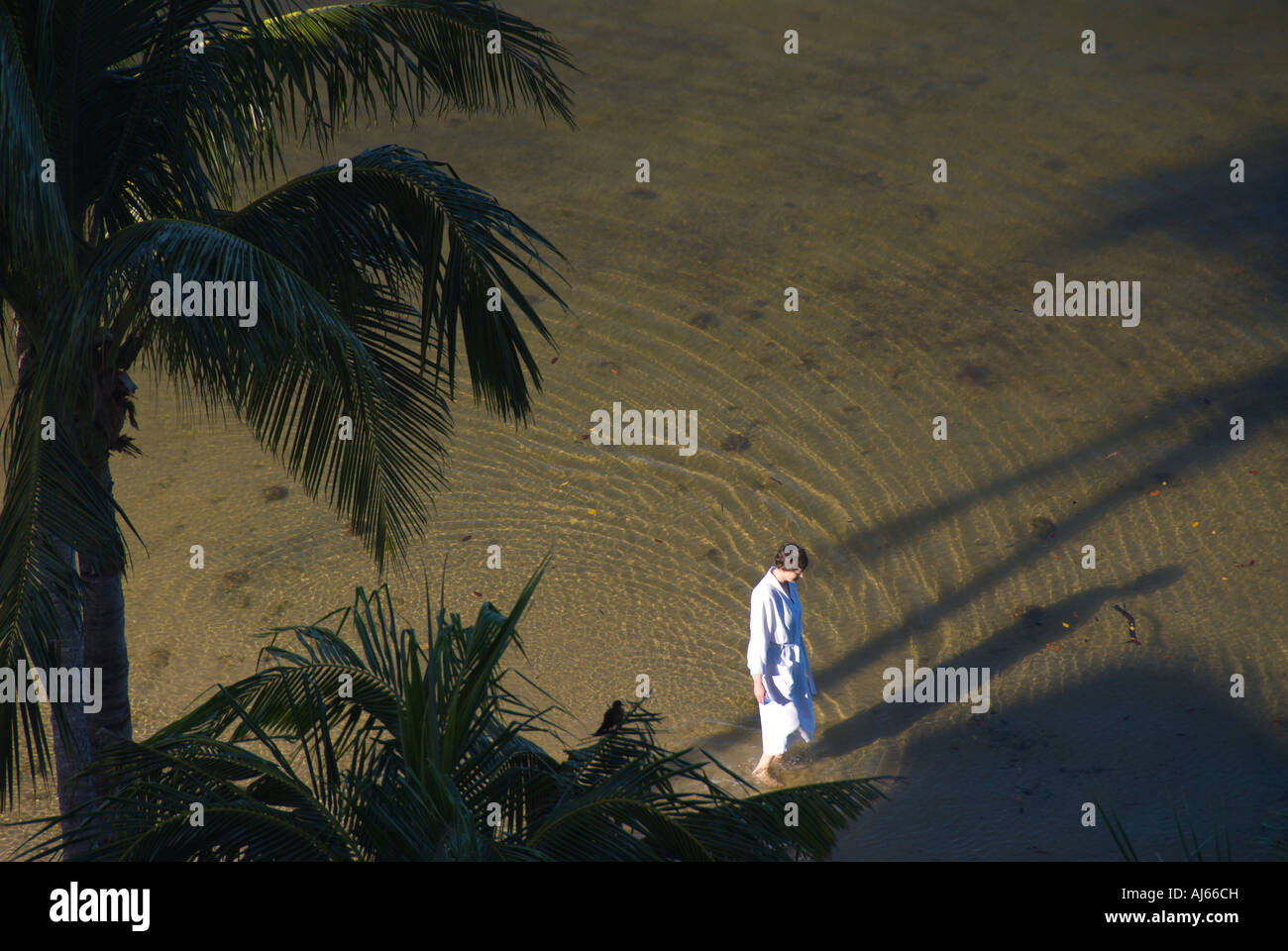 early morning palm tree woman in white bathrobe walking in water