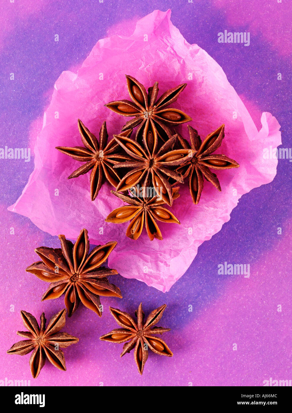 STAR ANISE Stock Photo