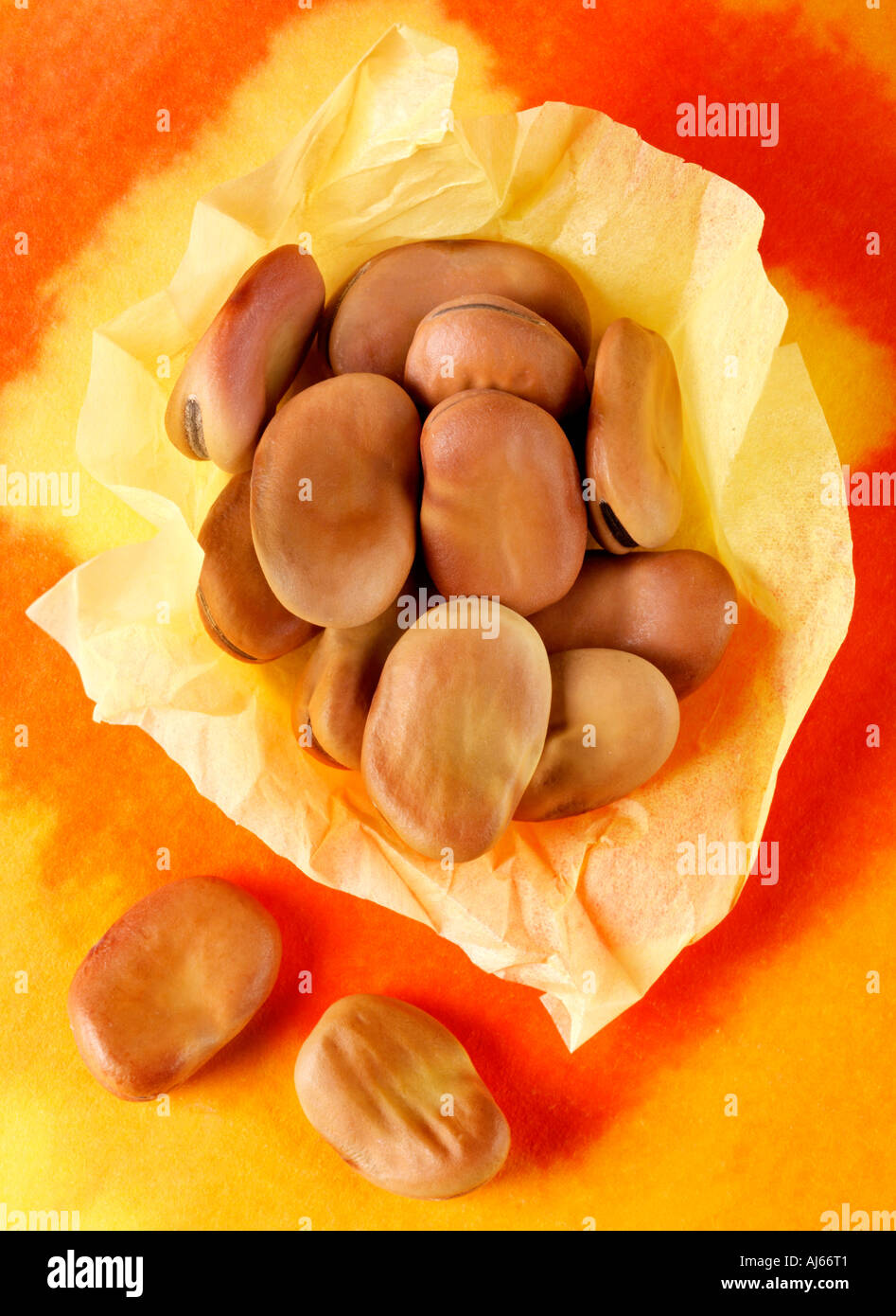DRIED BROAD BEANS Stock Photo Alamy