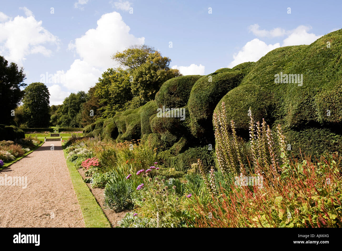 UK Kent Deal Walmer Castle gardens herbaceous border of Broad Walk Stock Photo