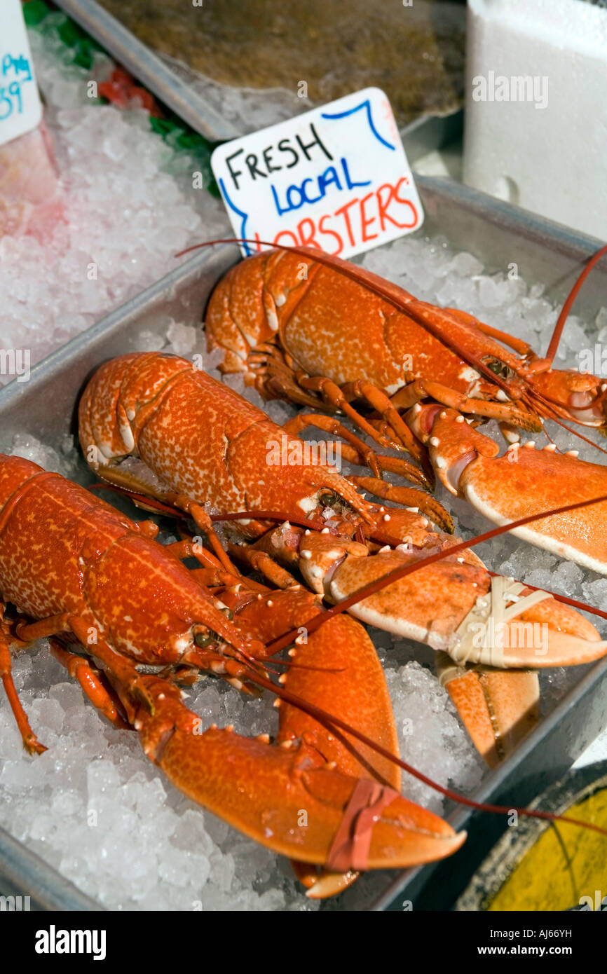 UK Kent Deal Jenkins and Son fishmongers fresh locally caught Lobster in ice Stock Photo