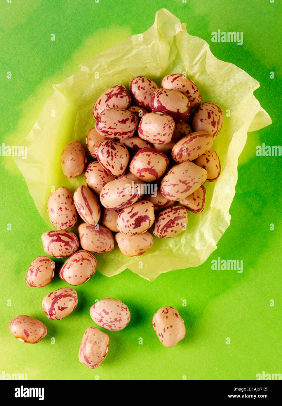 VARIEGATED RED KIDNEY BEANS Stock Photo Alamy
