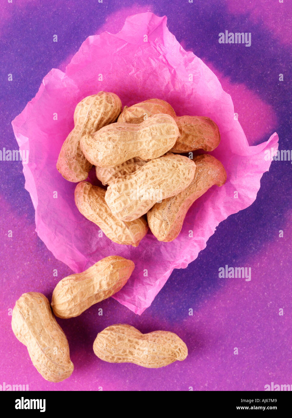 MONKEY NUTS Stock Photo