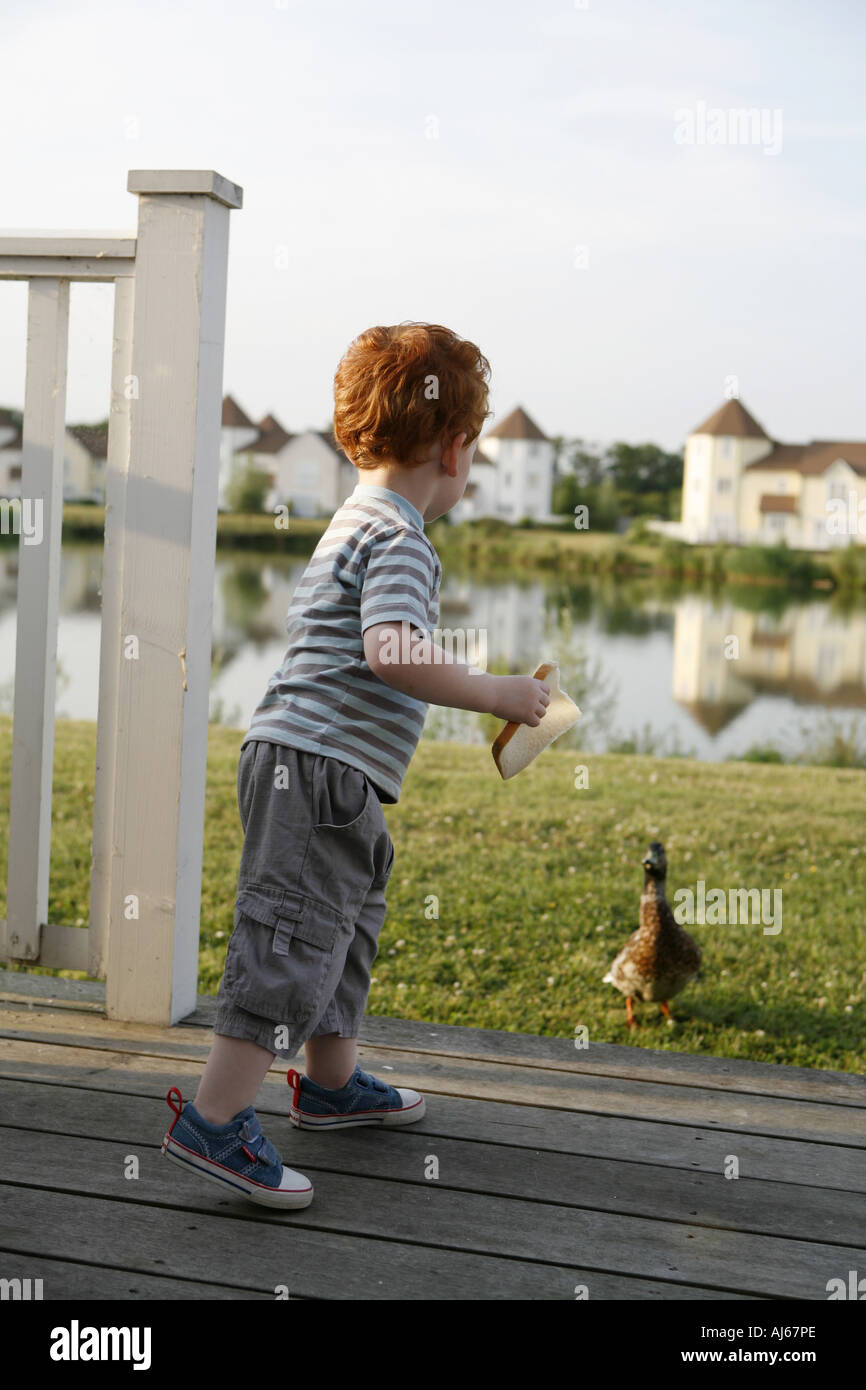 Cotswolds Water Park located at South Cerney near Cirencester Gloucestershire Boy playing with duck Stock Photo