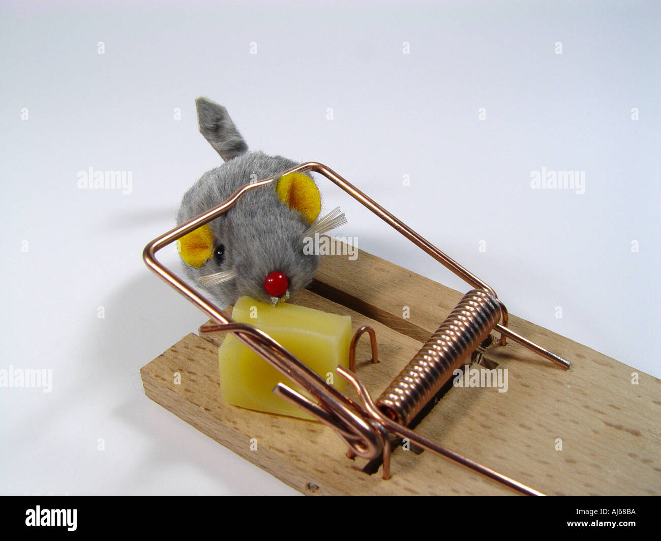 Mouse in the mousetrap symbol for into the trap go Losing transaction Stock Photo