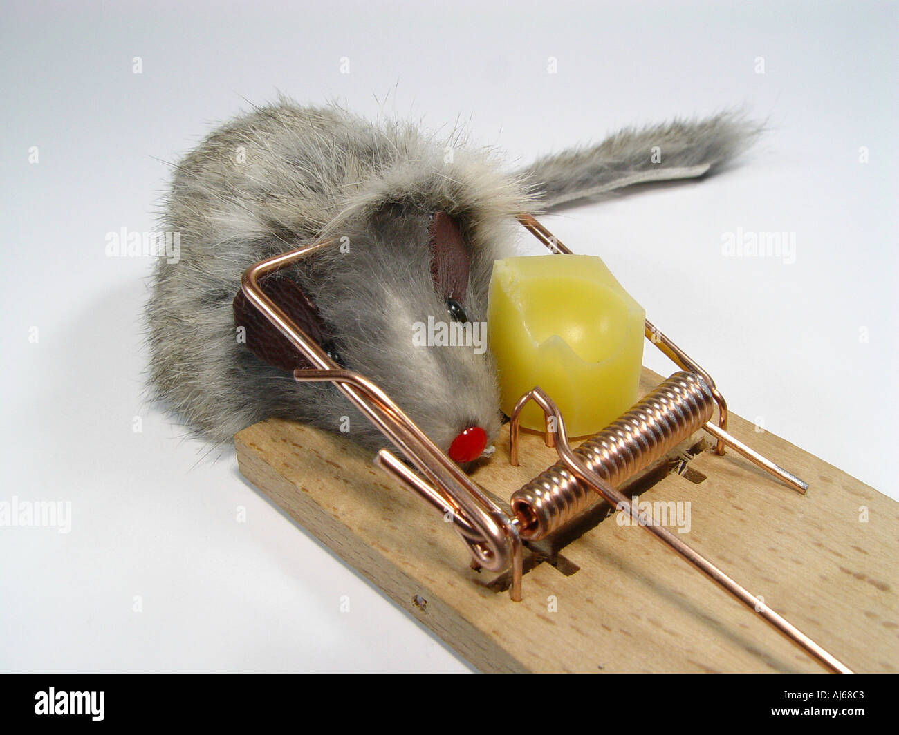 https://c8.alamy.com/comp/AJ68C3/mouse-in-the-mousetrap-symbol-for-into-the-trap-go-losing-transaction-AJ68C3.jpg
