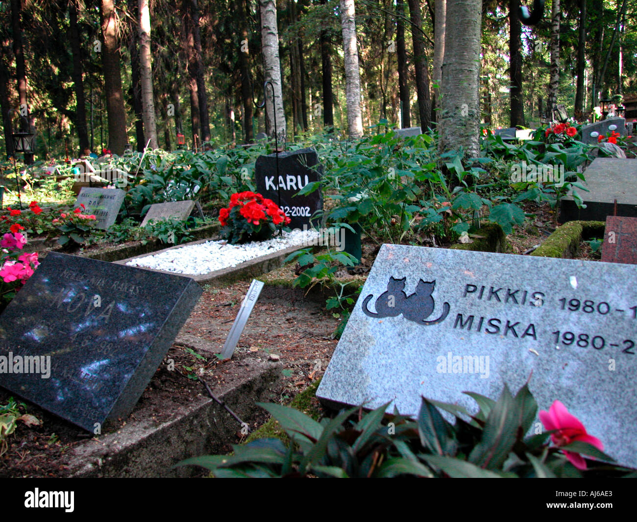 Gravestones finland hi-res stock photography and images - Alamy