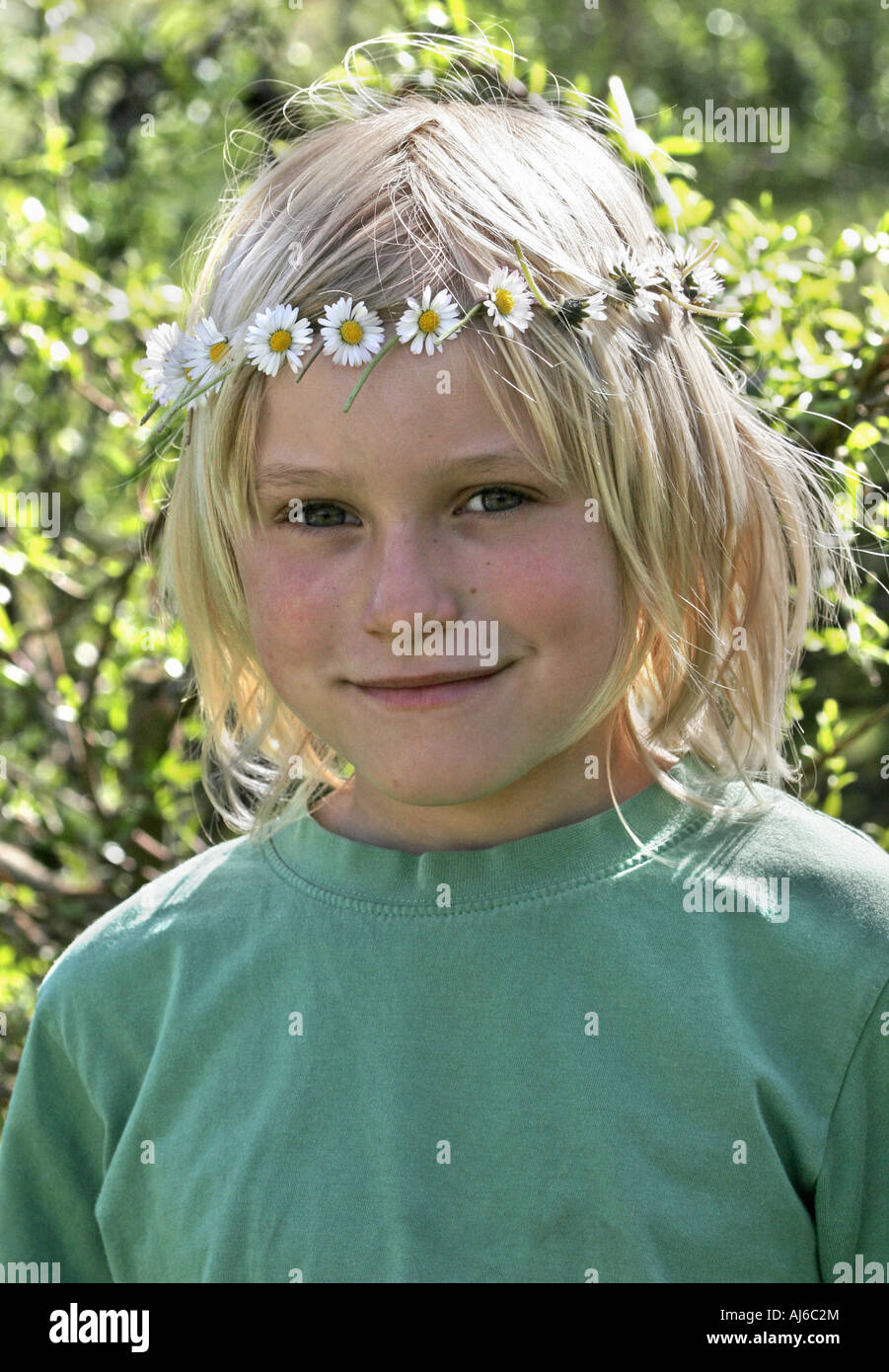 common daisy, lawn daisy, English daisy (Bellis perennis), young boy ...