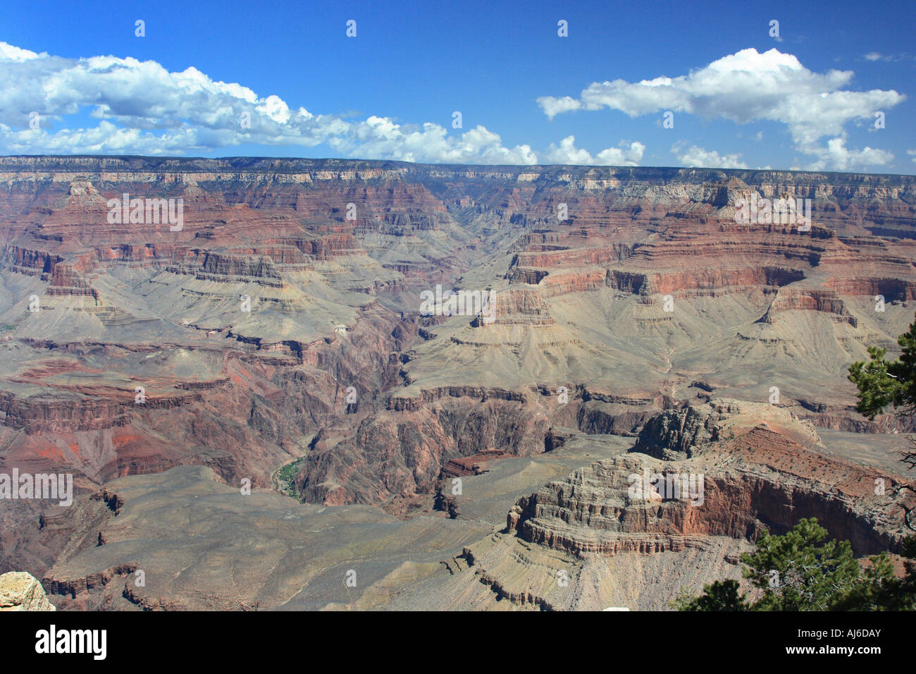 Grand Canyon, view from Mather Point to Phantom Ranch and Kaibab Plateau, USA, Arizona, Grand Canyon NP Stock Photo