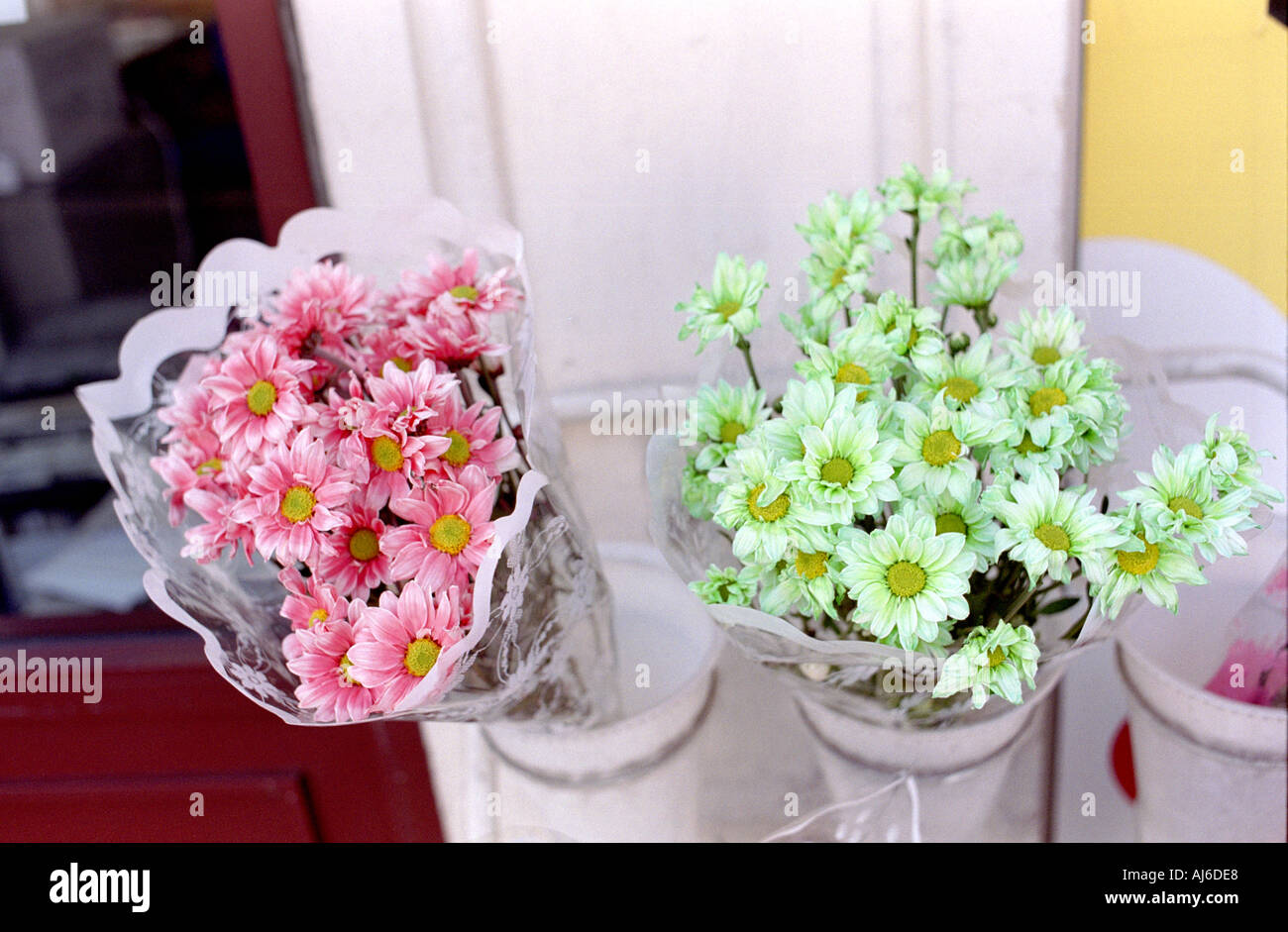 Petrol station flowers hi-res stock photography and images - Alamy